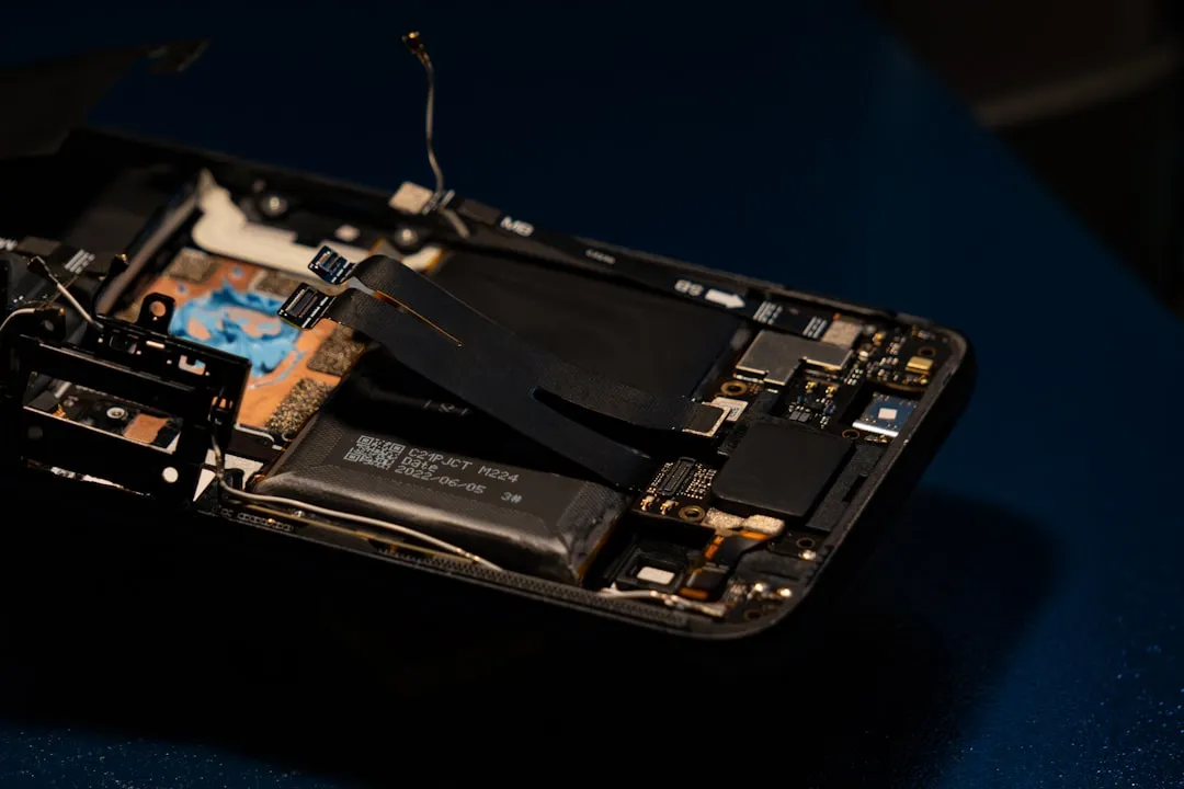 2025年福建区域软件开发外包服务趋势分析