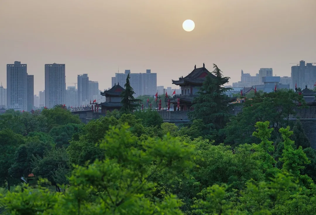 厦门美藕科技解析企业级软件开发中的技术架构选型与落地实践